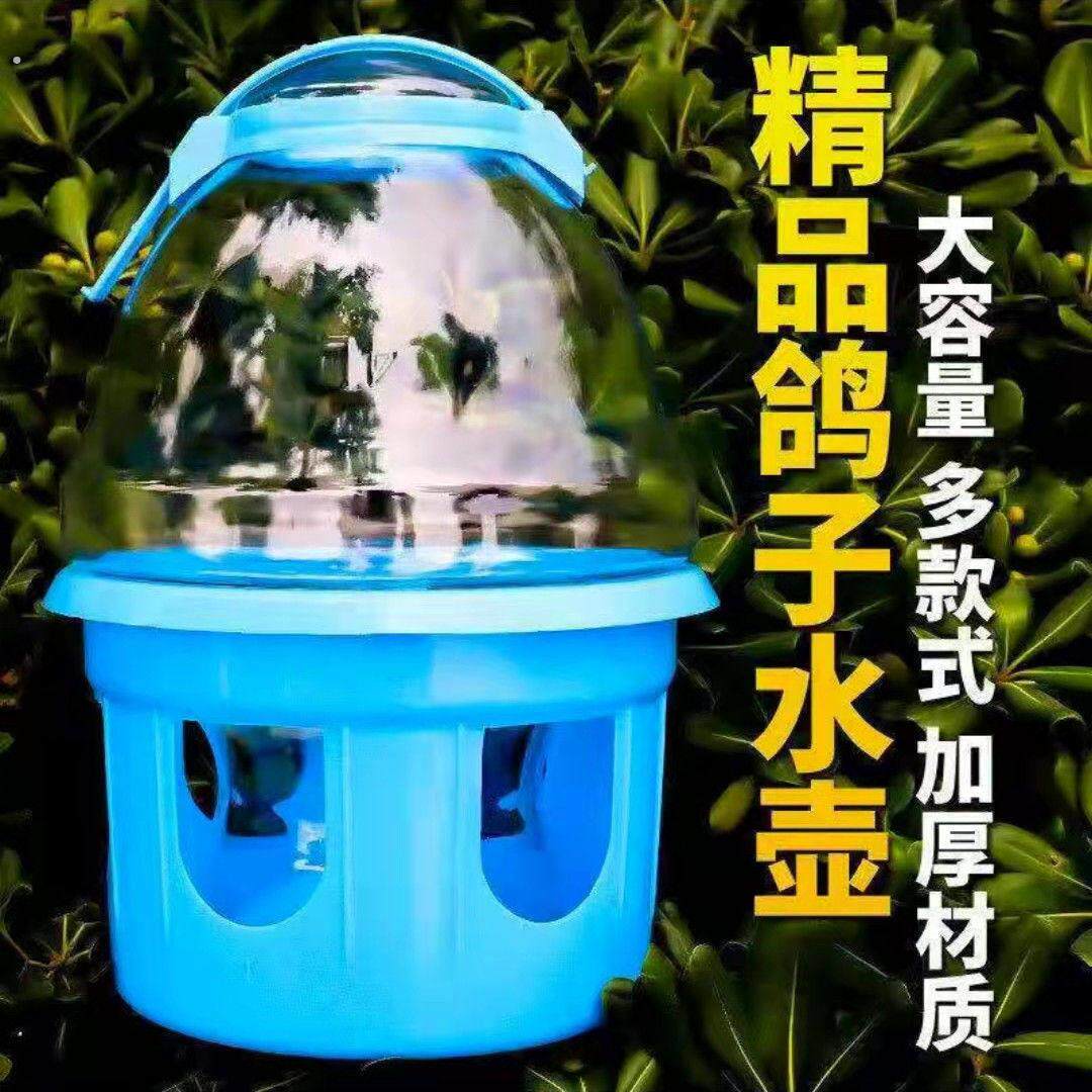 鸽子饮水水壶自动喂水器信鸽赛鸽鸟类喂水水槽鸟水壶鸽子用品