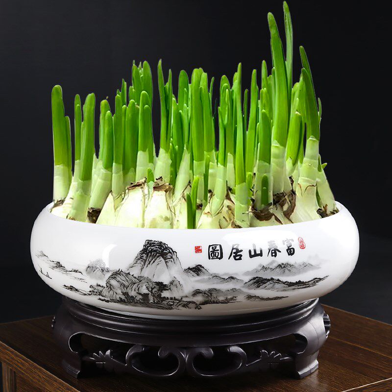 水仙花盆陶瓷大号家用室内无孔铜钱草一叶莲碗莲盆大口径水培器皿