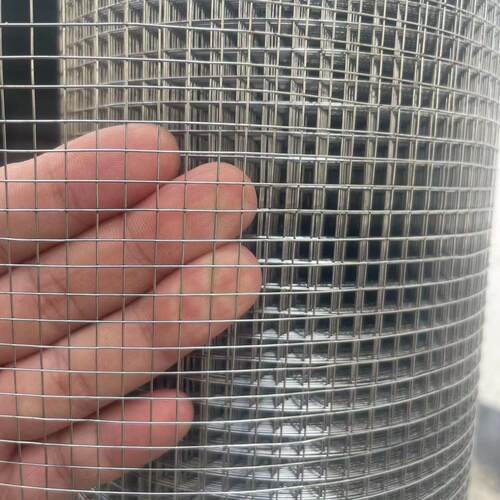 防锈热浸镀锌钢丝网家禽围栏网阳台拦猫防鼠蛇黄鼠狼围网园林栅栏
