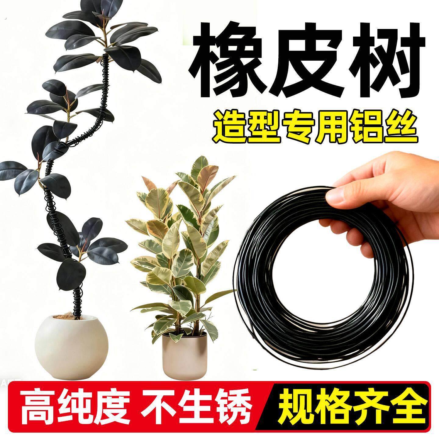 橡皮树造型铁丝盆景造型专用铝丝铝线盘扎铝丝线蟠扎橡皮树园艺铁