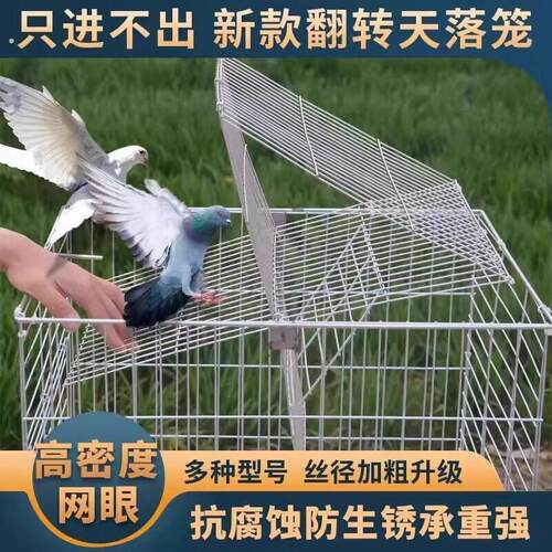 捕捉器鸟笼天落翻转鸽子笼活络门只进不出连续收鸽笼跳笼自动门神