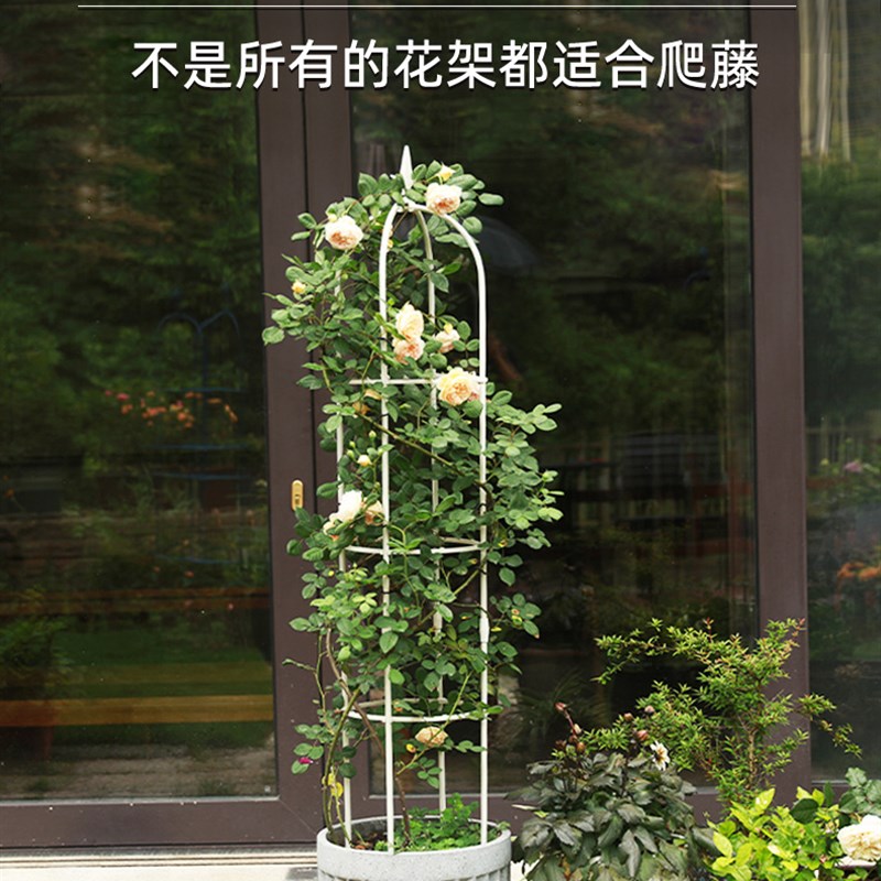 虹越种植架子玫瑰花架铁线莲藤本月季爬藤植物家庭园艺支架支柱