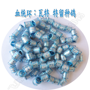 信鸽足环鸽子脚环 血统环 种鸽环 多款血统环 鸽窝鸽子用品用具窝