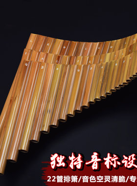 苦竹排箫乐器C专业22管初学儿童F成人G调排笛演奏学生排萧竖吹潇