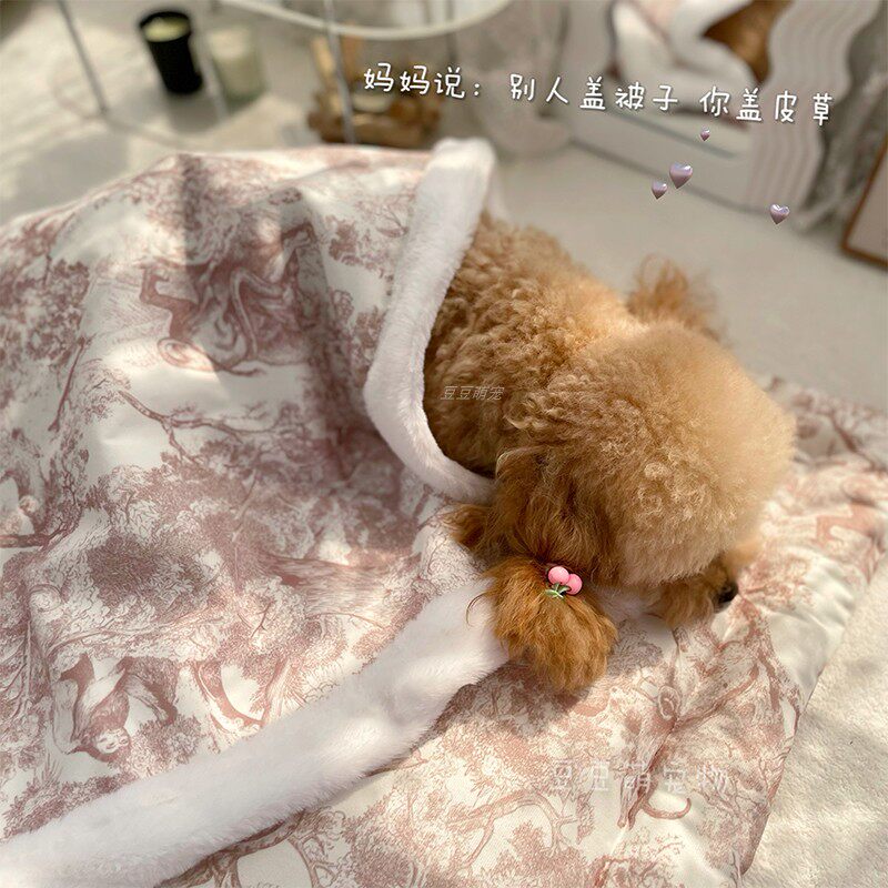 猫咪毯子宠物专用小被子狗狗睡觉秋冬绒毯子猫窝垫中小型犬笼垫子