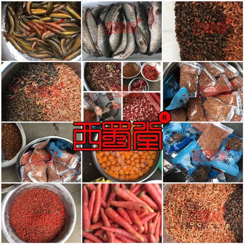 西蜀堂鸟食防水便绣眼养生料红肋暗绿绣眼鸟饲料提性亮羽绣眼鸟食