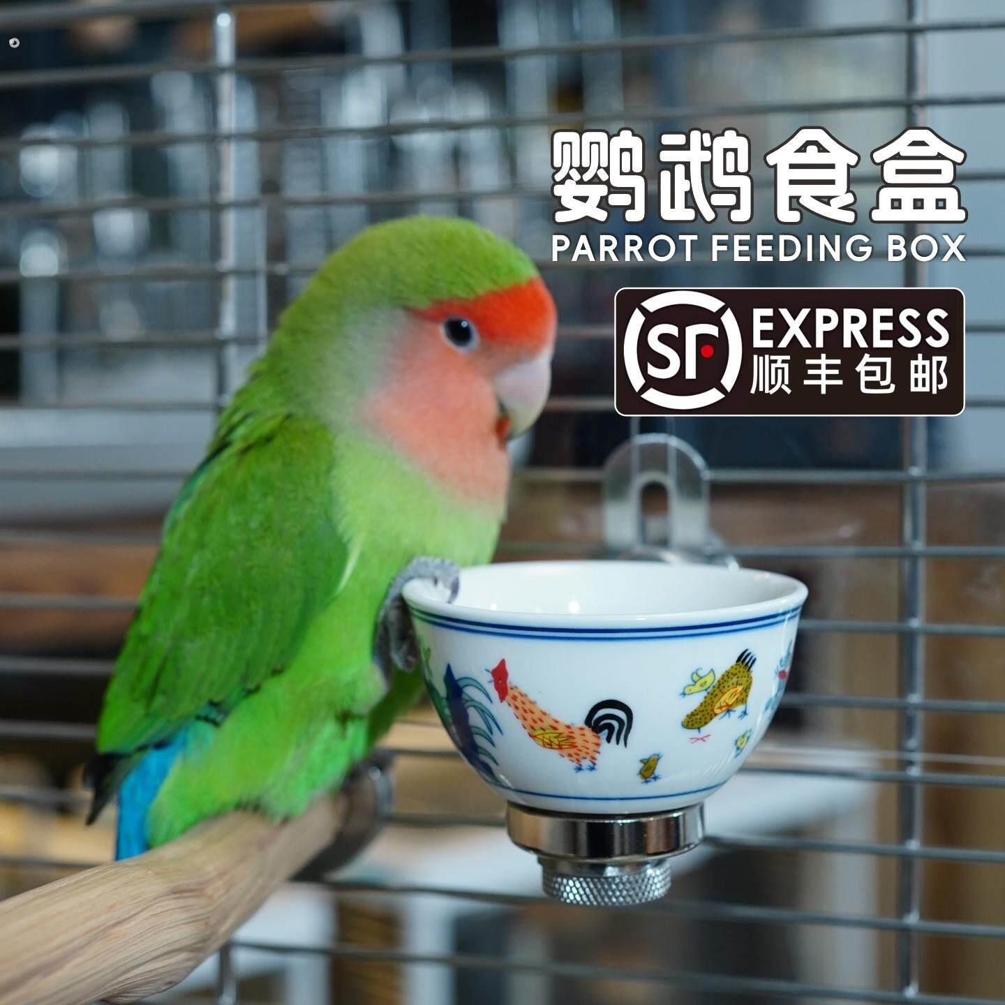 小型鹦鹉食盒防溅粮陶瓷食碗牡丹玄凤小太阳保温箱底网磁吸喂食器