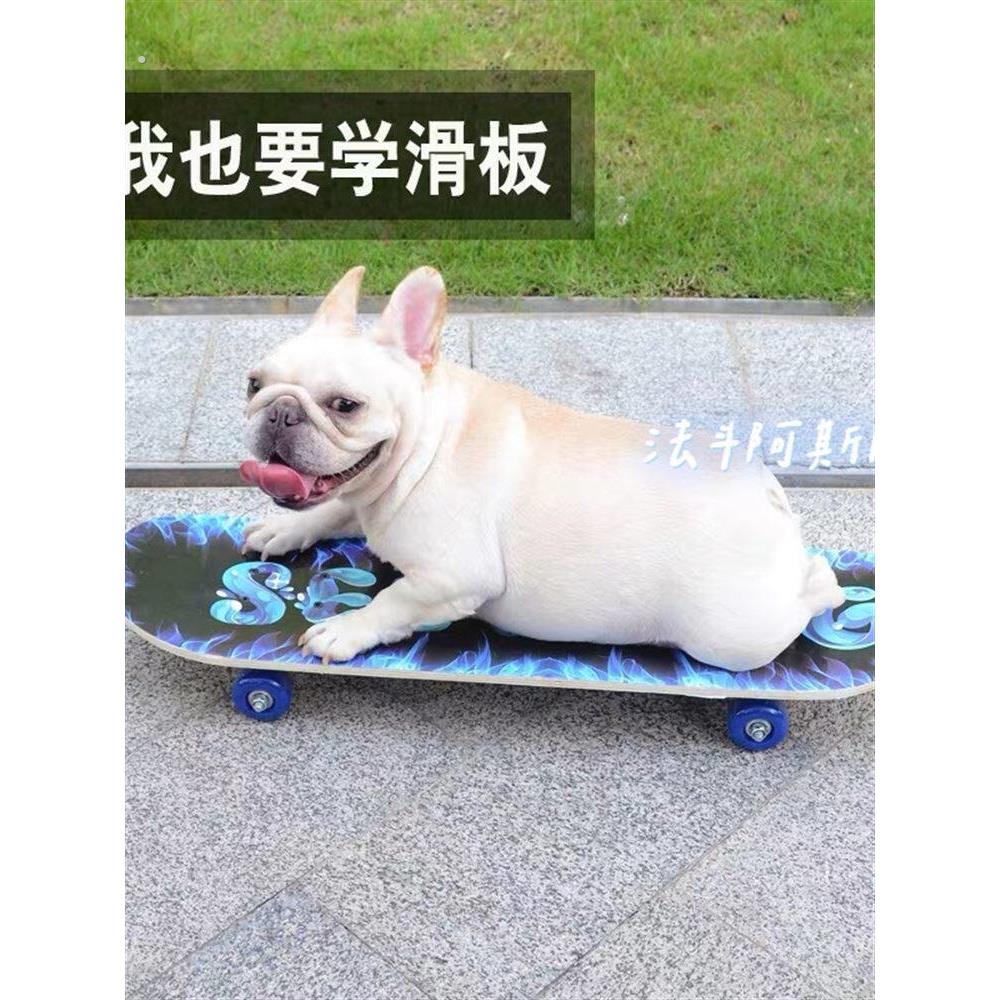 狗狗滑板宠物滑板四轮英斗专业滑板法斗滑板雪纳瑞柯基宠物用品