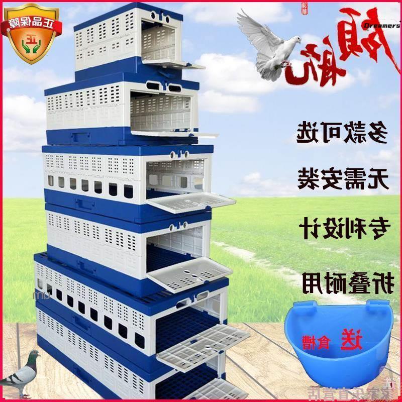 领航训放笼压笼报道塑料不锈钢折叠信鸽笼子集鸽赛鸽公棚放飞厂家