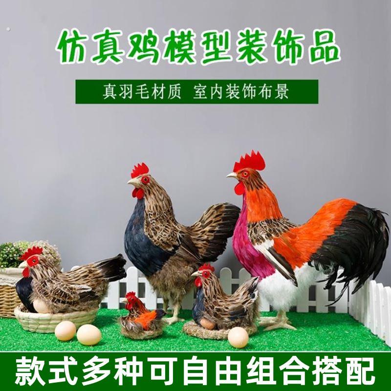 仿真鸡模型公鸡标本超市直播间装饰道具母鸡摆件土鸡下蛋小鸡玩偶