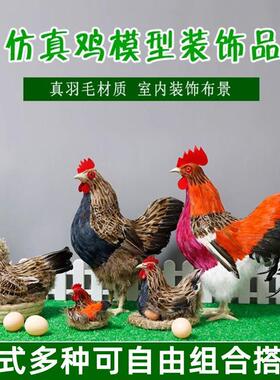 仿真鸡模型公鸡标本超市直播间装饰道具母鸡摆件土鸡下蛋小鸡玩偶