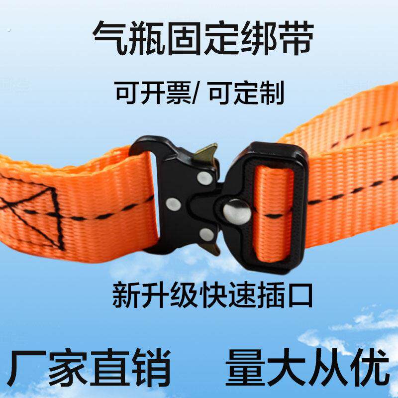 气瓶固定绑带钢瓶固定架绑带尼龙绑带捆绑车用防静电气瓶固定带链
