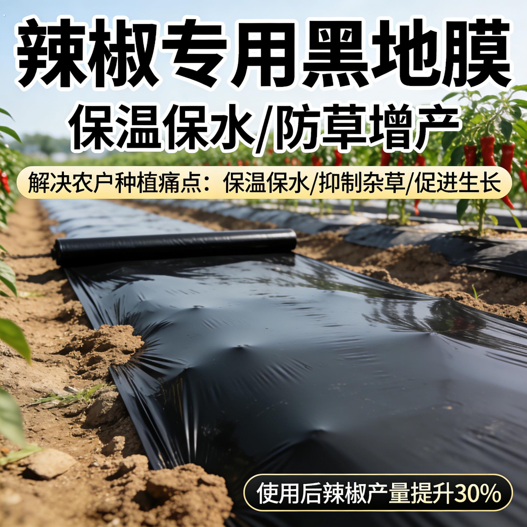 辣椒专用黑色地膜加厚小菜园盖菜防长草农用种植辣椒薄膜定制