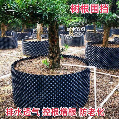 果树围圈树根围挡高培围网控根围板排水板加厚植树移苗育园林绿化
