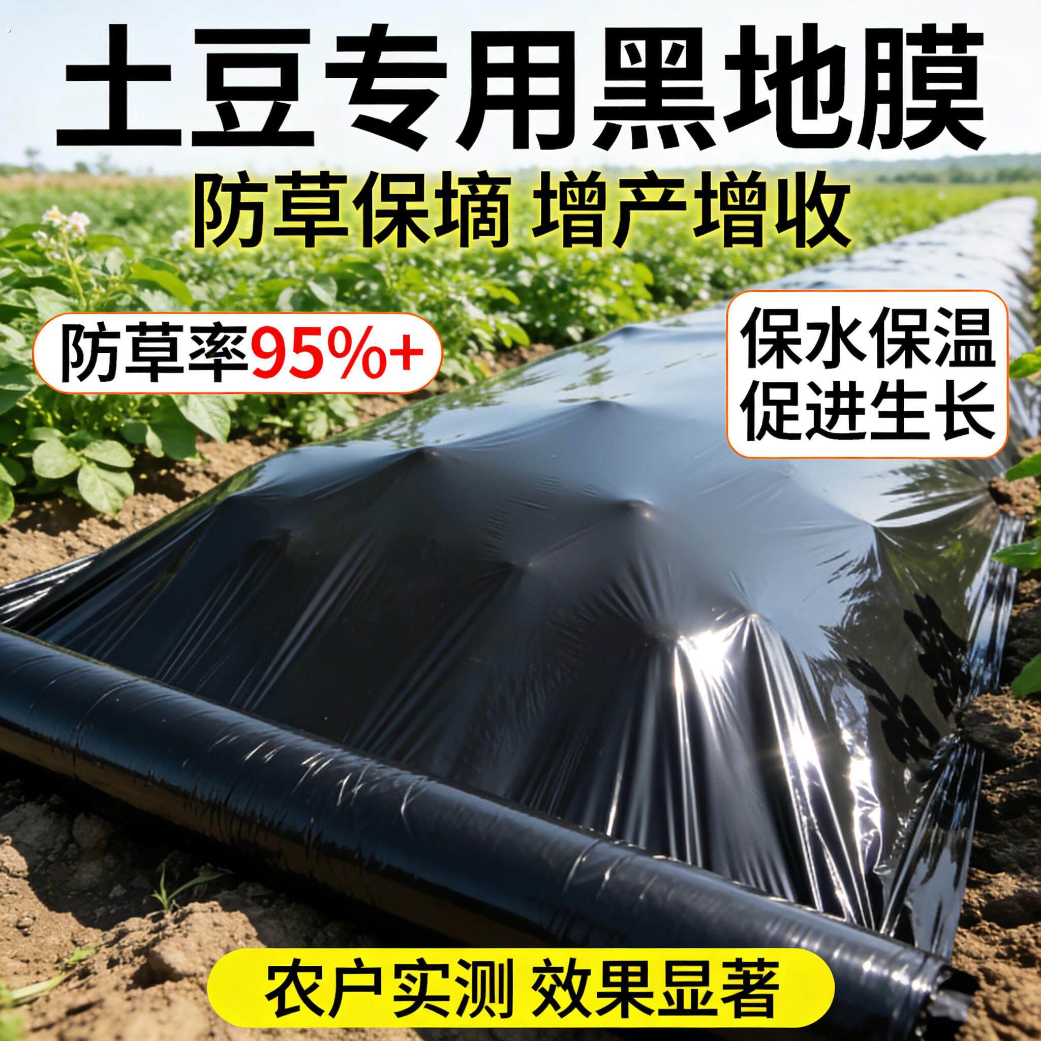 土豆专用黑色地膜加厚小菜园盖菜防长草农用种植辣椒薄膜定制