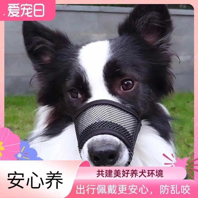 狗用防叫神器边牧狗嘴套防咬防吃透气罩可调节可喝水宠物大中小型