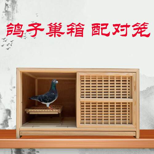 赛鸽信鸽配对巢箱 多用途加厚繁殖调节笼 可调式养殖鸽舍鸽具
