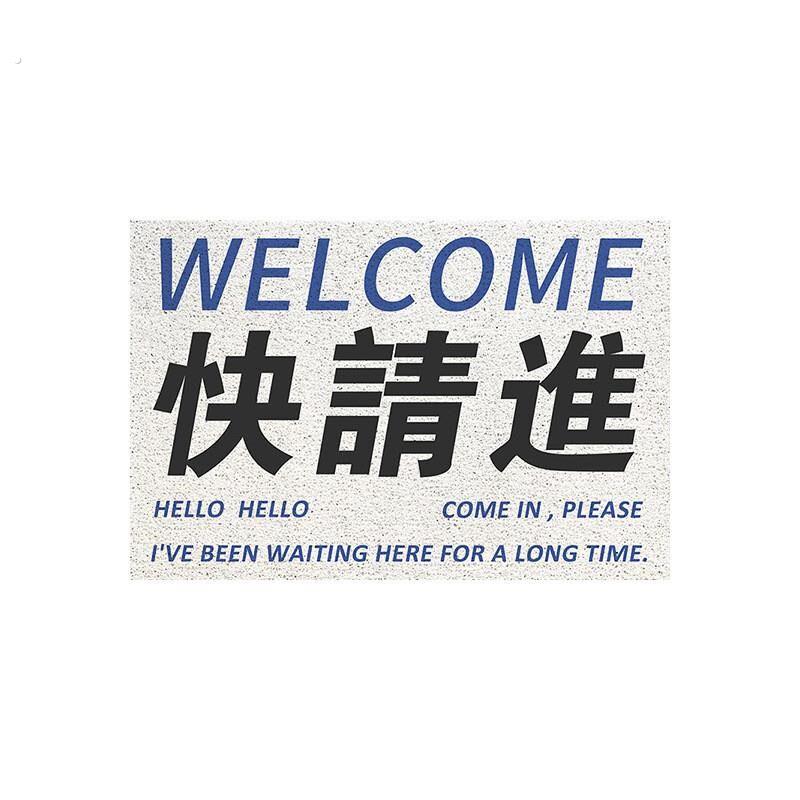 爆款网红客厅门垫防油浴室丝圈地垫防滑宿舍脚垫大面积入户门垫子