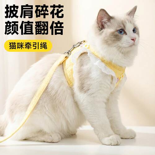 猫咪牵引绳猫背带防挣脱不勒脖溜猫绳猫绳子小猫胸背带外出专用