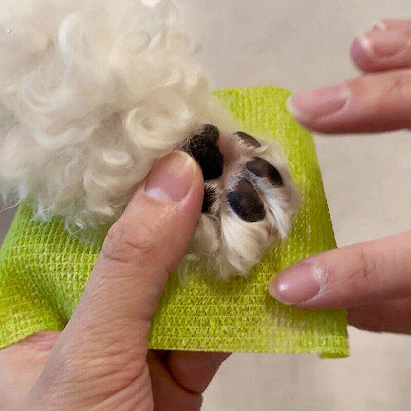 宠物专用狗狗袜子护脚掌弹性户外玩耍一次性无纺布绷带新