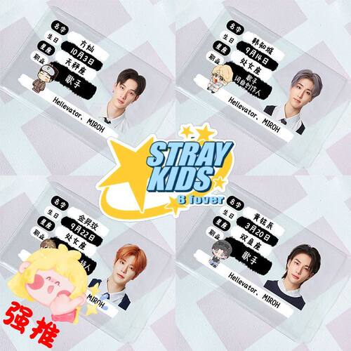 StrayKids证件照屏蔽卡套