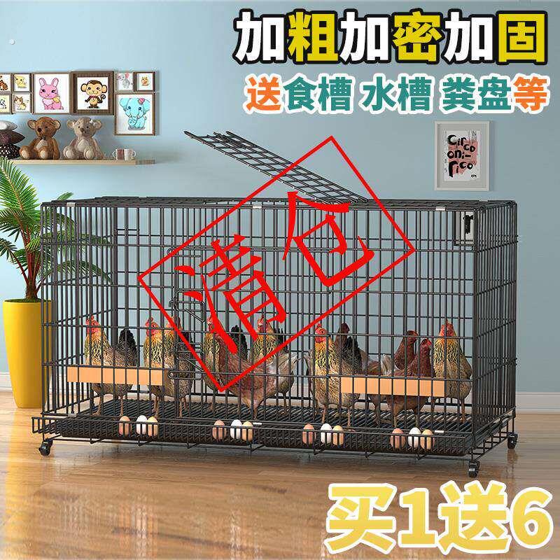 楼顶养鸡笼家用家庭室外鸡笼子大号鸡窝下蛋窝下蛋鸡笼鸡舍鸭笼殖
