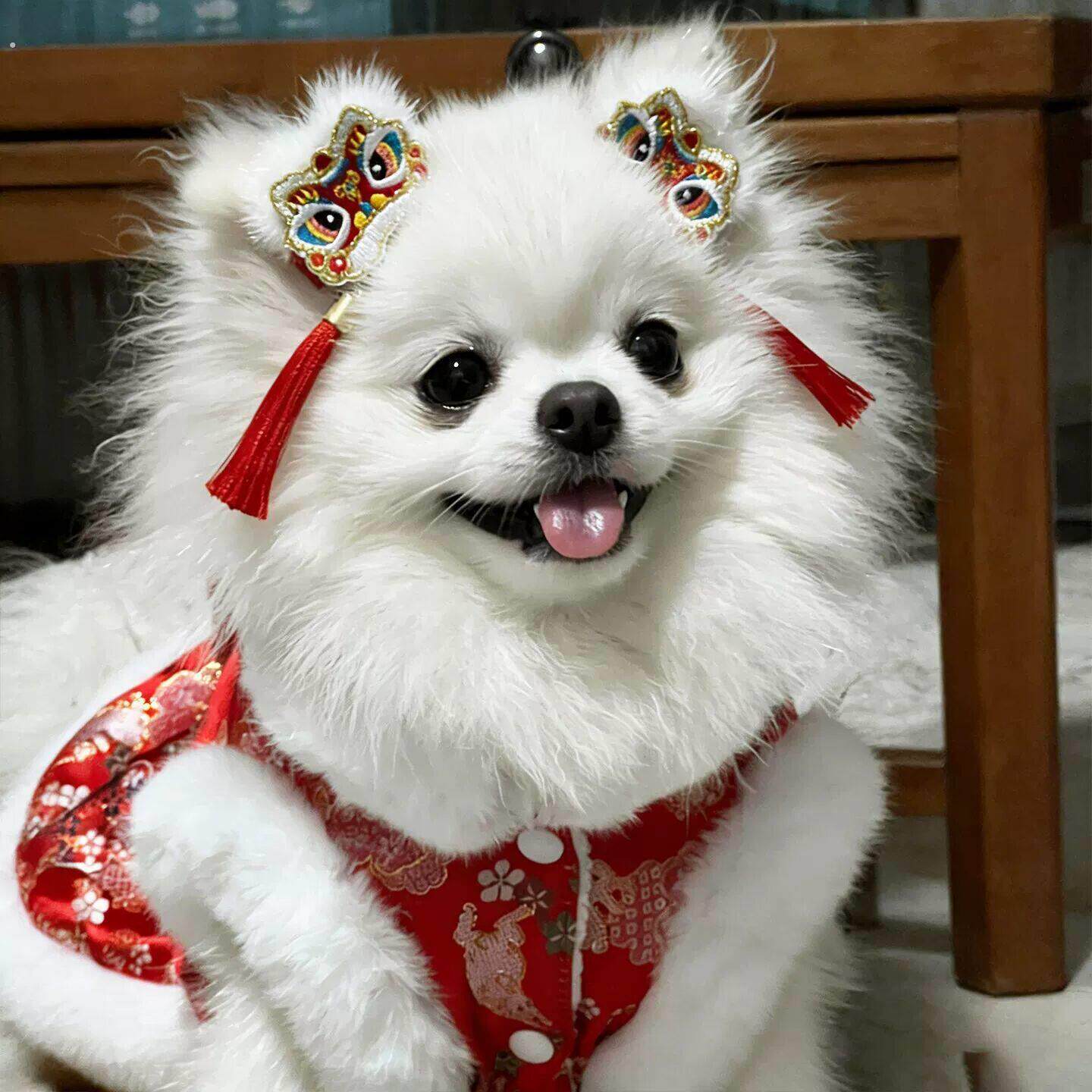 新年宠物狗狗发夹醒狮头饰博美马尔济斯中小型犬过年喜庆拍照道具
