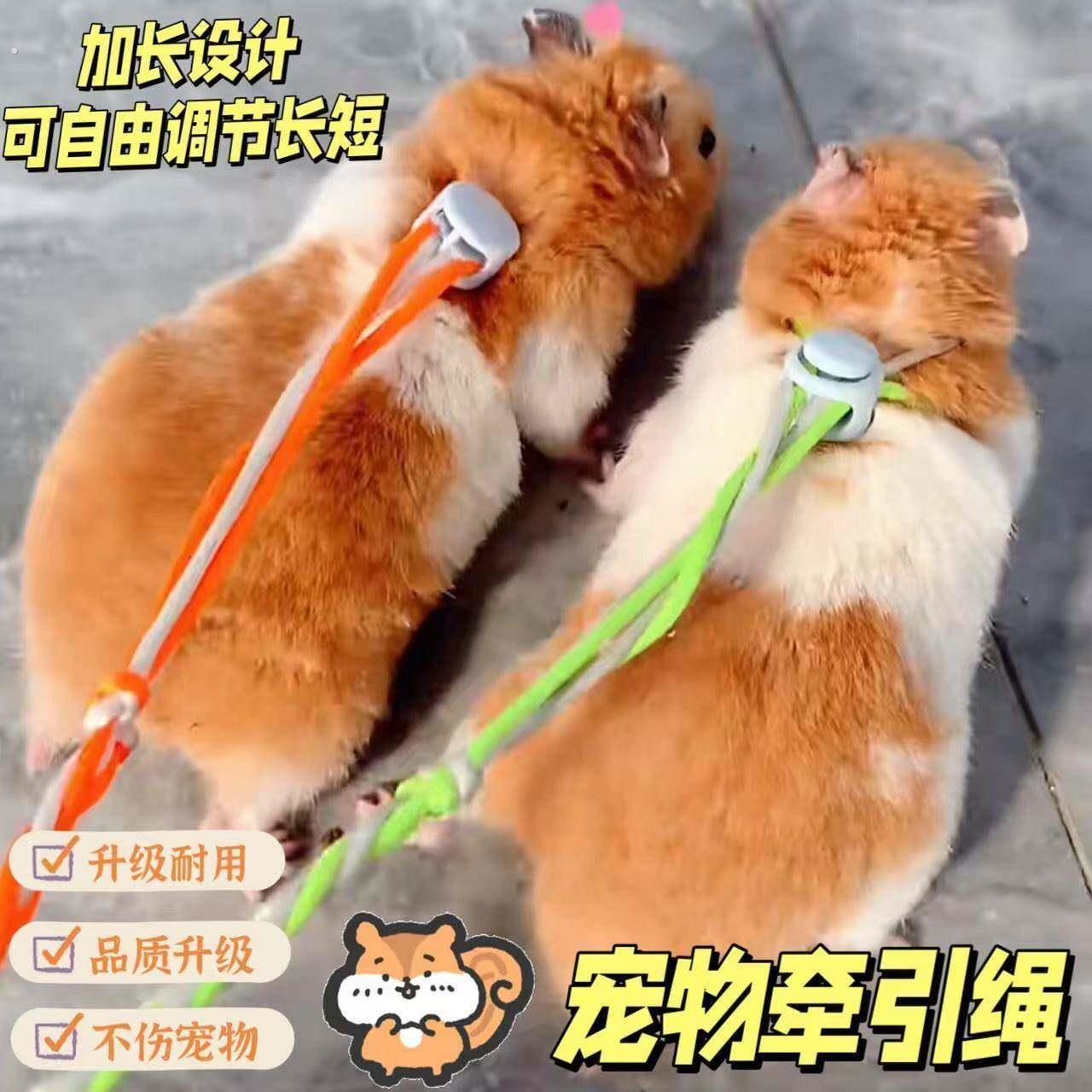 小仓鼠牵引绳背心式松鼠龙猫豚鼠荷兰猪兔子迷你绳子用品仓鼠外出