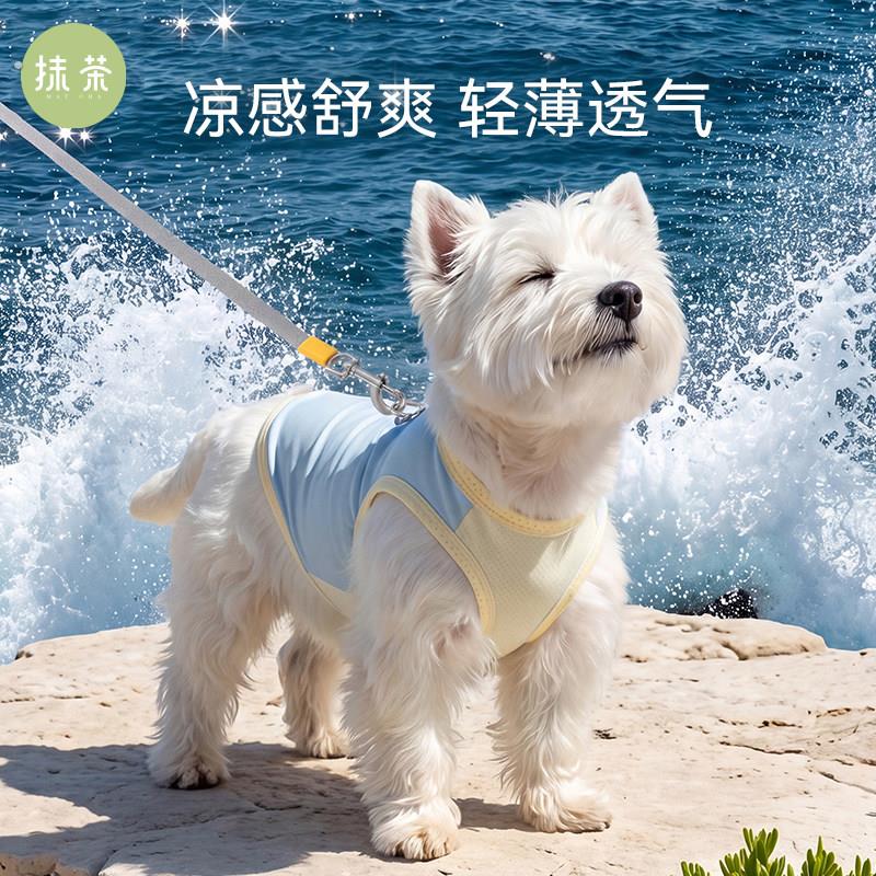小狗狗凉凉衣夏季凉感背心小型犬西高地防晒降温户外宠物衣服薄款