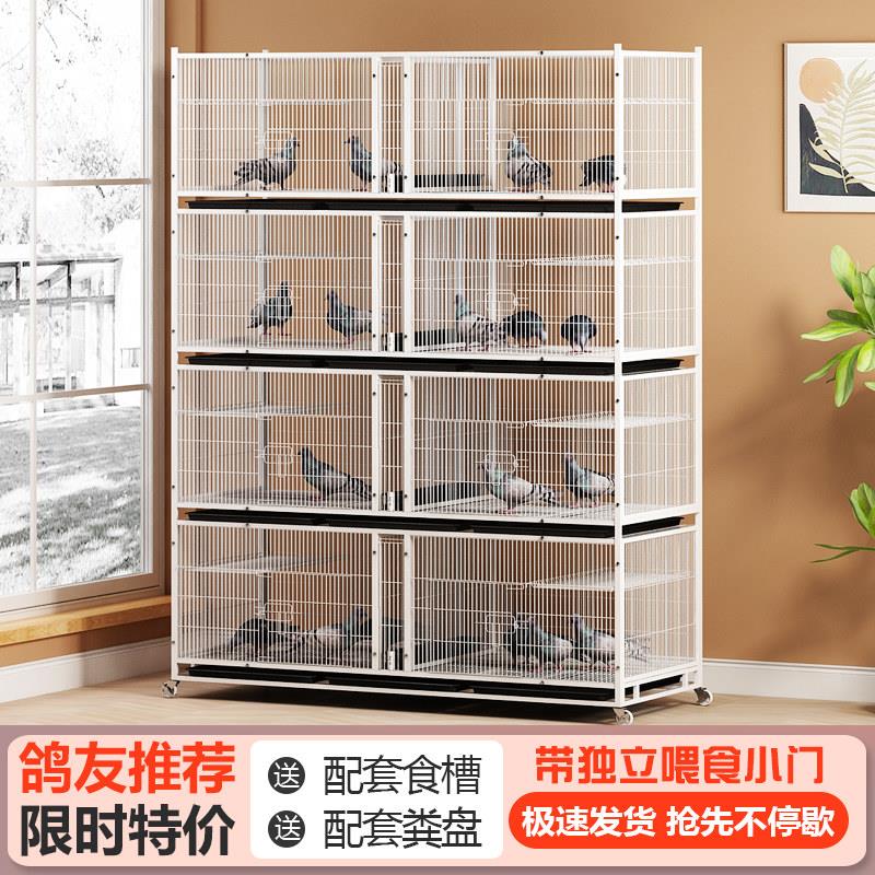 鸽子配对笼元宝信鸽养殖笼家用带食盒水槽加密防老鼠大型鸽笼