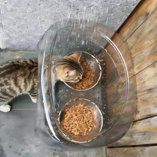 流浪猫户外窝透明喂食碗防雨棚防潮防蚁虫喂食器隐蔽环保猫狗通用
