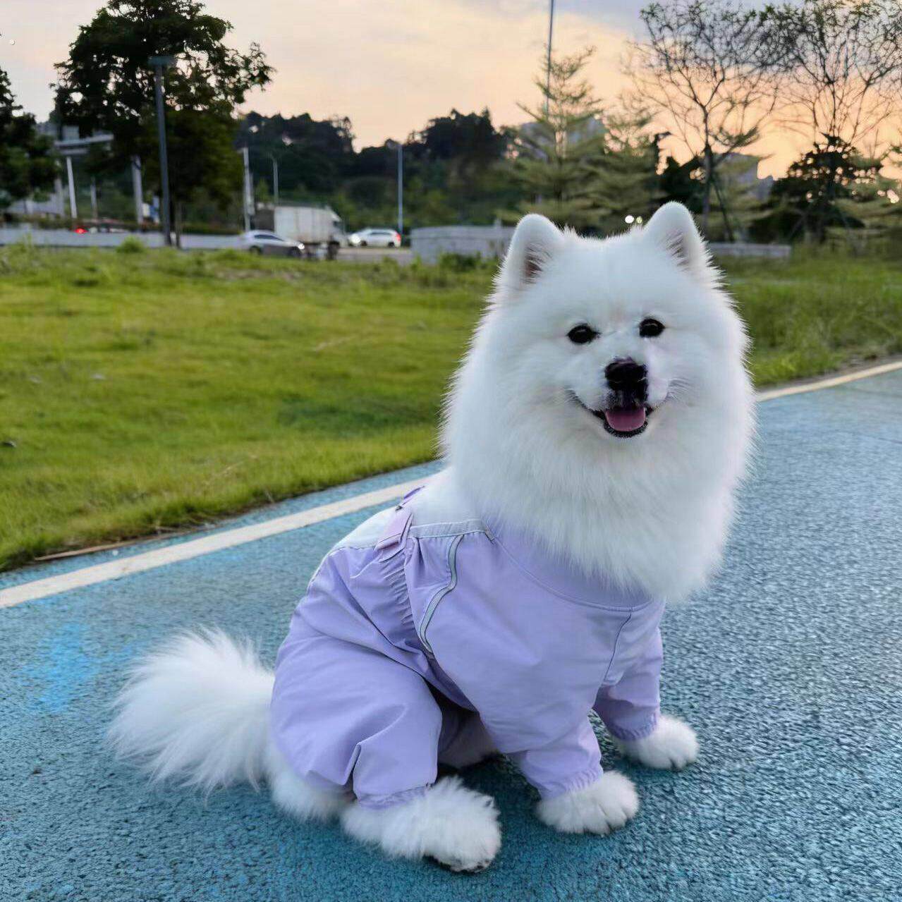 宠物衣服狗狗防脏腿裤户外防尘防尿防脏腿裤长毛大型犬巨贵