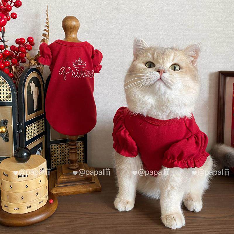 宠物新年喜庆红色泡泡袖打底衫狗狗猫咪背心简约弹力衣服马尔济斯