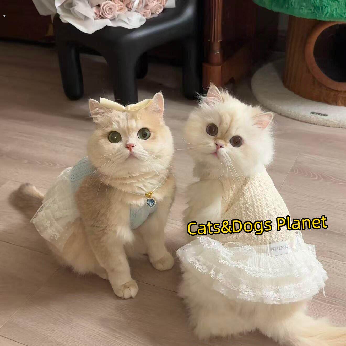 猫咪狗狗春夏薄款弹力防掉毛衣服透气条纹防掉毛背心宠物小猫猫夏