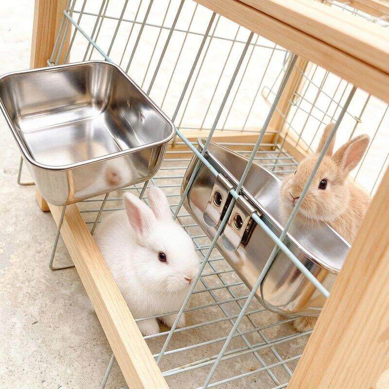 兔子食盆可调节兔兔饭碗荷兰猪龙猫挂式大容量防啃咬食盒