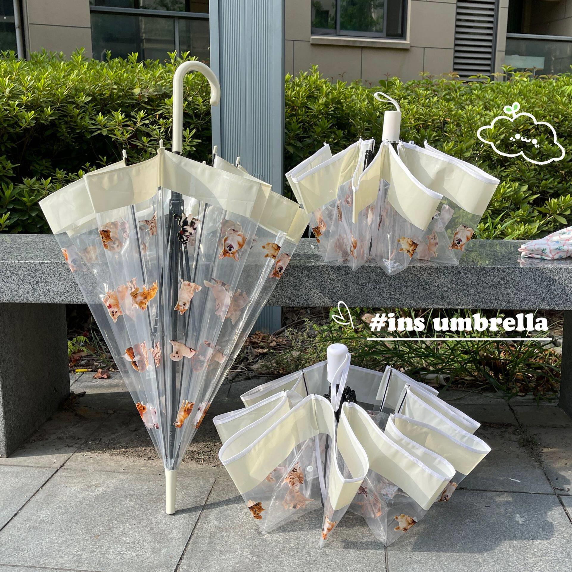 透明雨伞2025新款高颜值日系猫咪物语晴雨两用小巧便携轻量折叠女