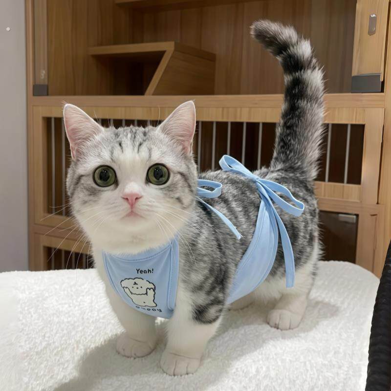 【护肚免着凉】猫咪衣服宠物肚兜中小型犬护脐防脏系绳围兜背心