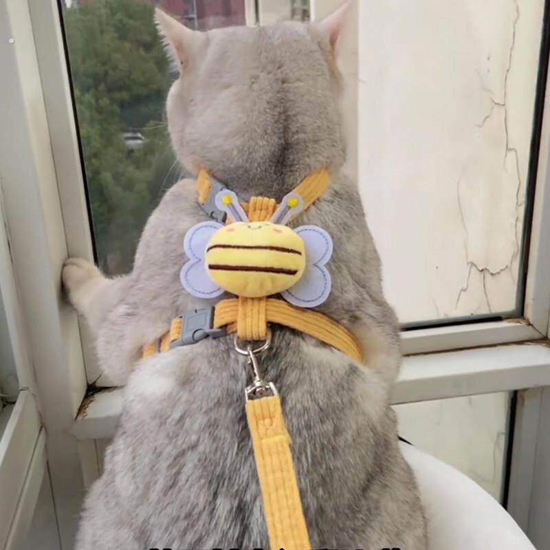 猫咪牵引绳防挣脱外出专用胸背带背心式兔子遛猫链狗狗绳子小型犬