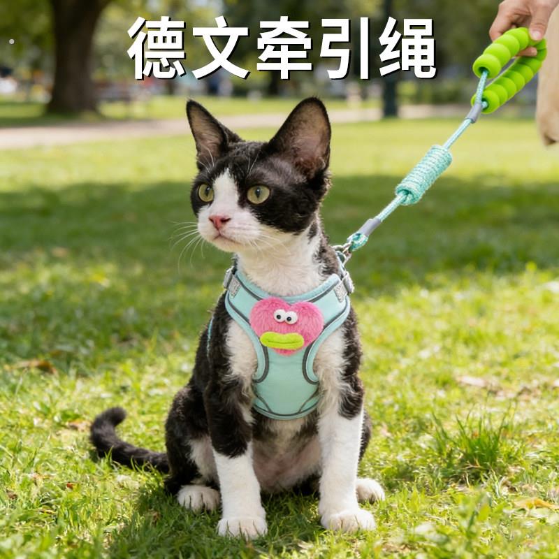 德文牵引绳外出专用斯芬克斯猫德国卷毛猫咪背心式可调节防挣脱