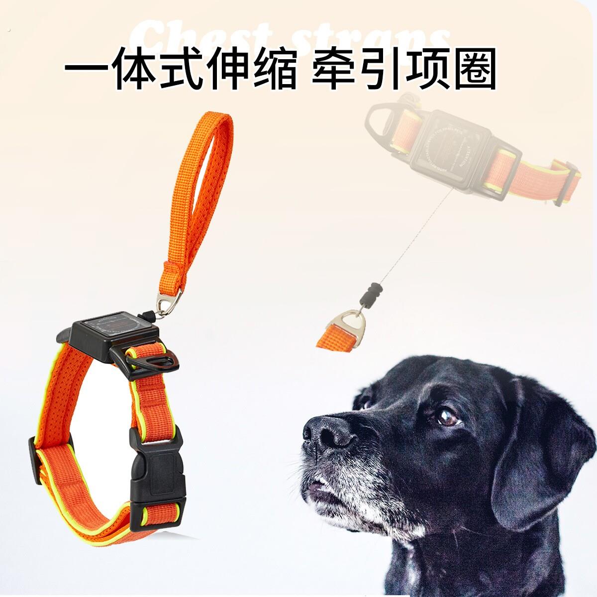 狗项圈和自动伸缩绳一体化设计外出牵狗狗绳子便捷牵引项圈狗脖圈