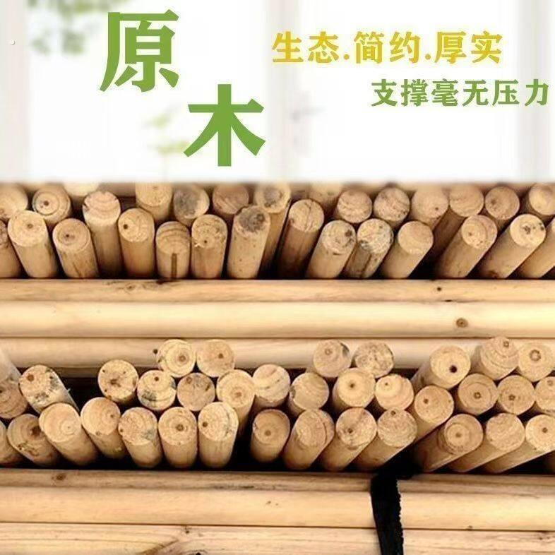扫把杆拖把杆桉木实心木条园林绿化工程植树支伸缩杆天然多用途木