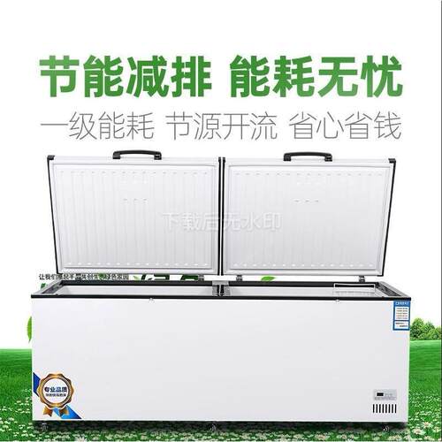 110v速冻卧式冷柜大冰柜冷藏冰柜商用大容量小冰柜冷冻柜深冰柜