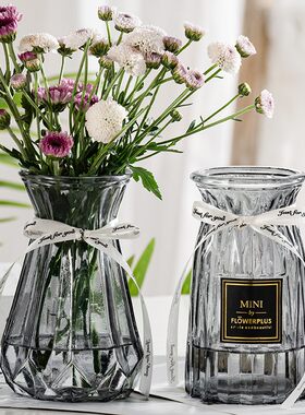 【四件套】透明玻璃花瓶水养百合富贵竹干鲜花插花瓶客厅装饰摆件