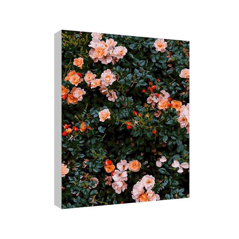 数字油画diy 客厅装饰手绘解压挂画手工填充涂色油彩画 蔷薇花园