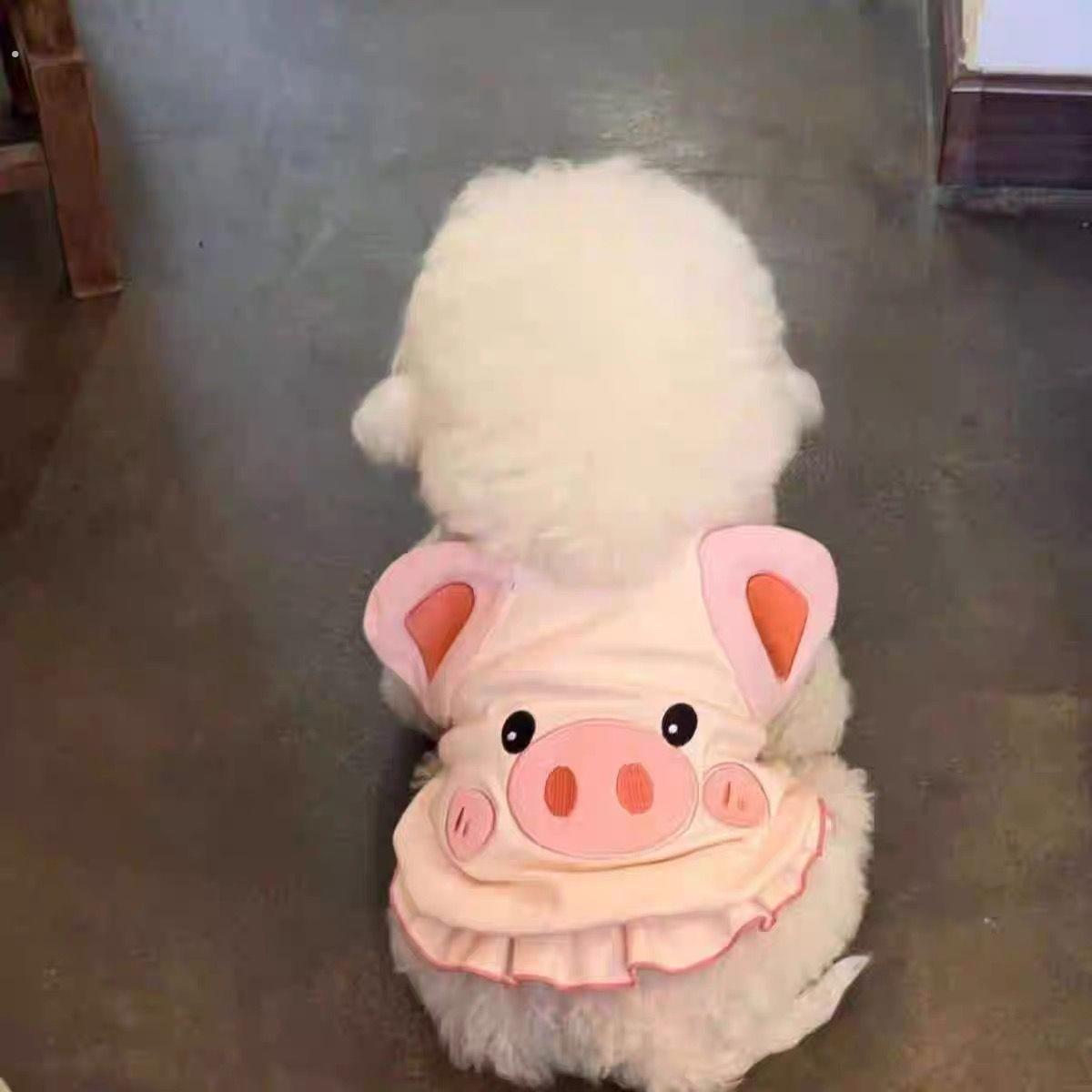 春夏秋季可爱动物衣服幼猫薄款小型犬狗狗宠物衣服猫咪背心防掉毛