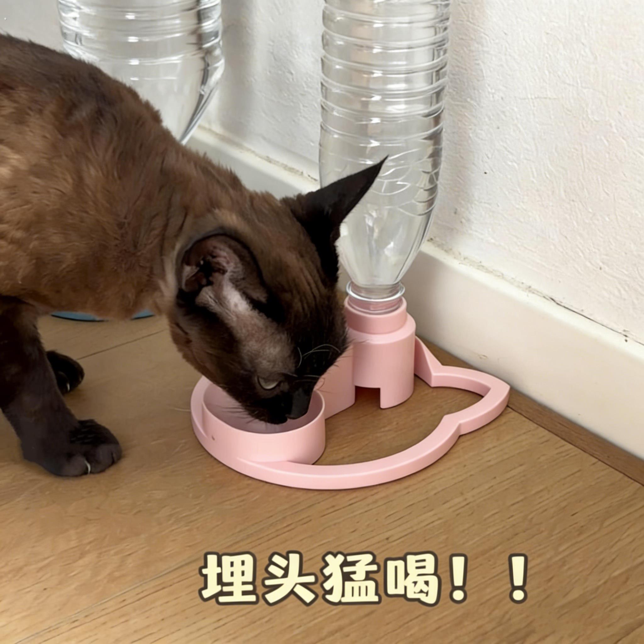 猫咪饮水机宠物自动饮水器免滤芯不插电自动流水碗防滑可调高度