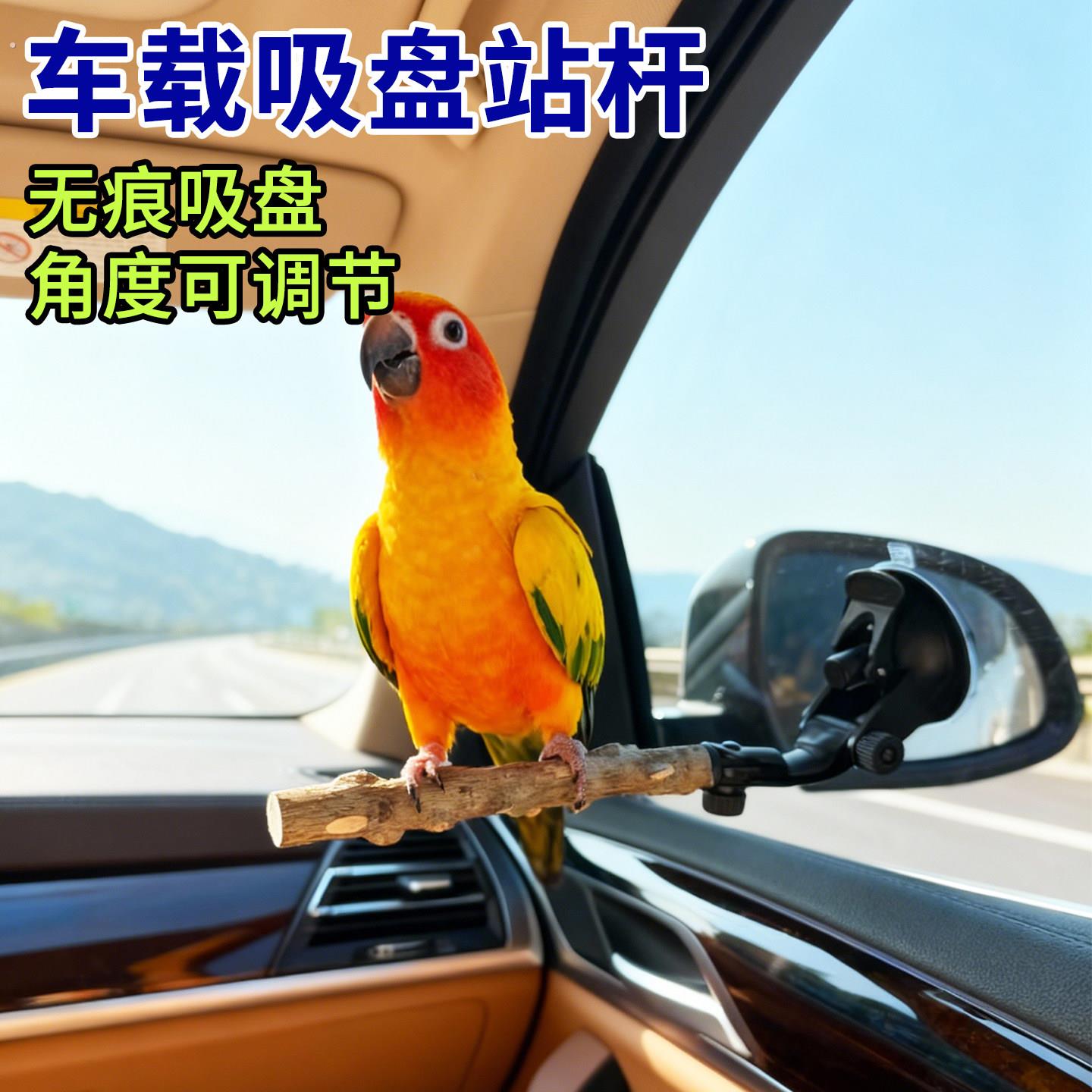 鹦鹉吸盘站杆空中站架车载站棒玄凤牡丹虎皮专用宠物用品鹦鹉用具