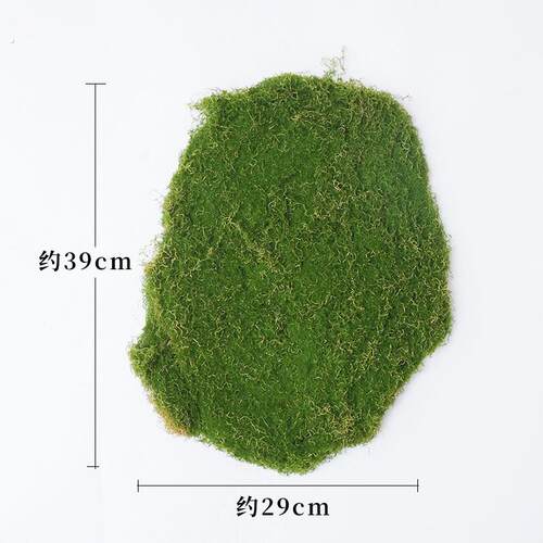 真苔藓青苔真草坪植物人造绿青苔装饰橱窗造景假永生苔藓草皮