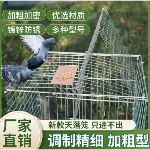加粗加密铁丝鸽笼圆顶防逃鸽子笼祇进不出翻转笼防逃设计厂家直销