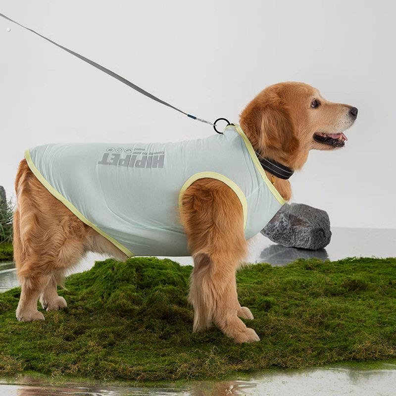 简约大型犬萨摩拉布拉多大狗夏季薄款透气两脚背心狗狗衣服宠物狗